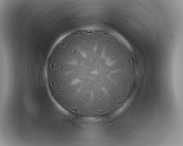 X0000114200855200910091251