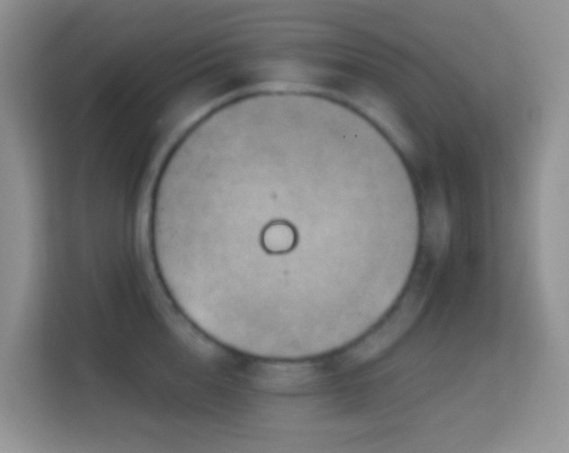 X0000114200856200910091251
