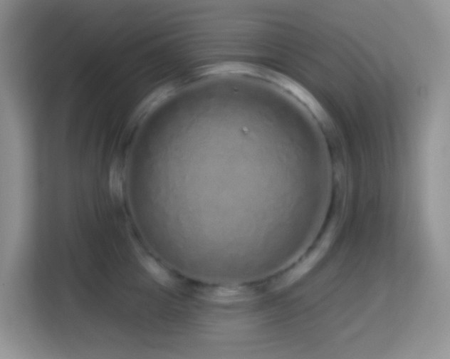 X0000114200857200910091251