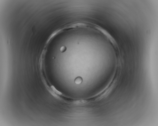 X0000114200858200910091251