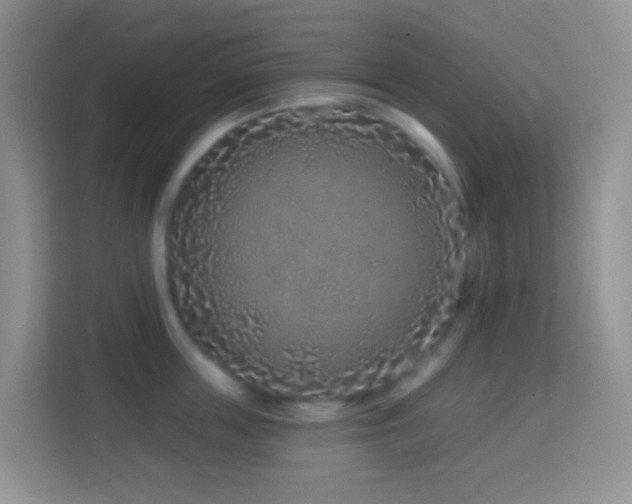 X0000114200859200910091251