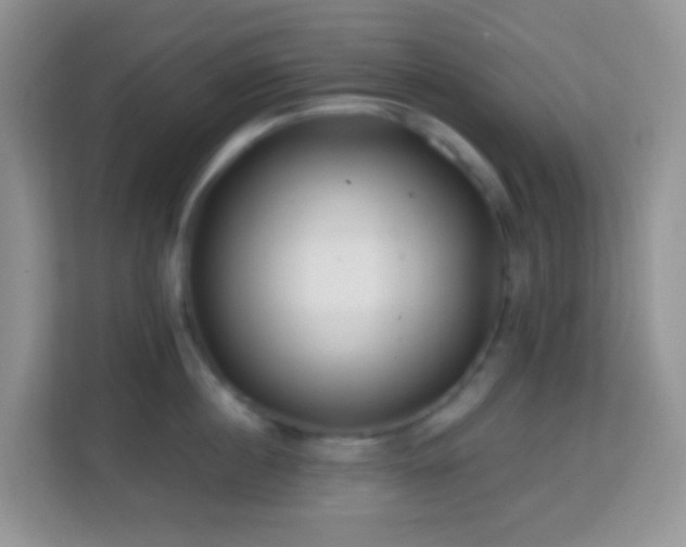 X0000114200860200910091251