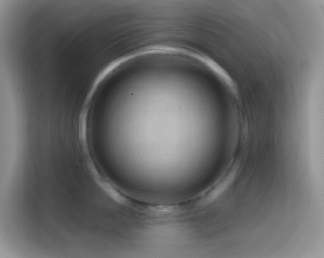 X0000114200862200910091251