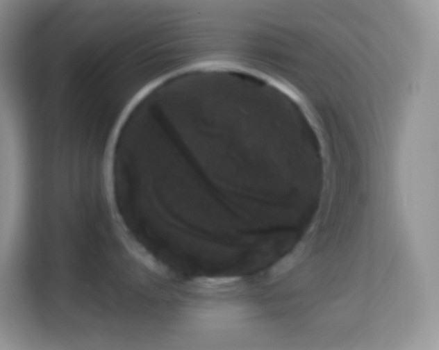 X0000114200864200910091251