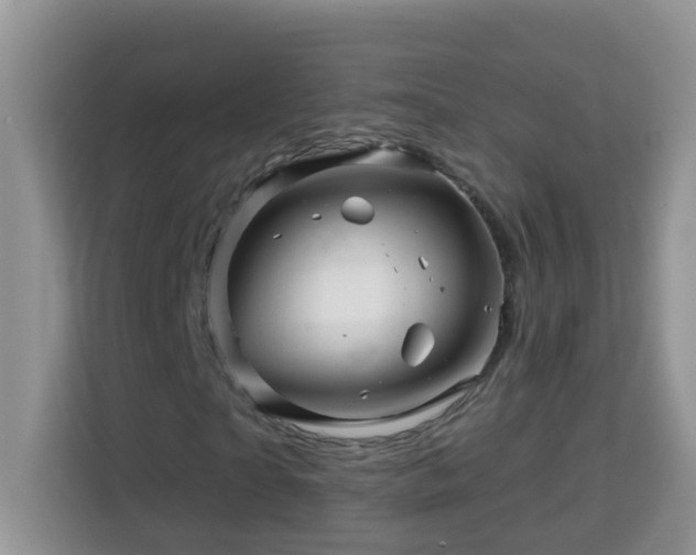 X0000114200865200910091251