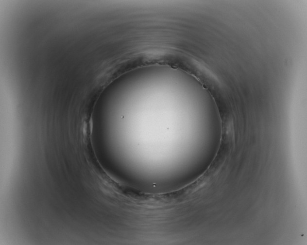 X0000114200868200910091251