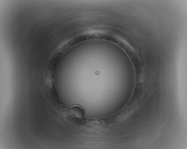 X0000114200869200910091251