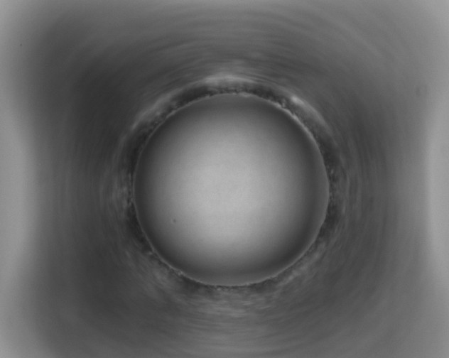 X0000114200870200910091250