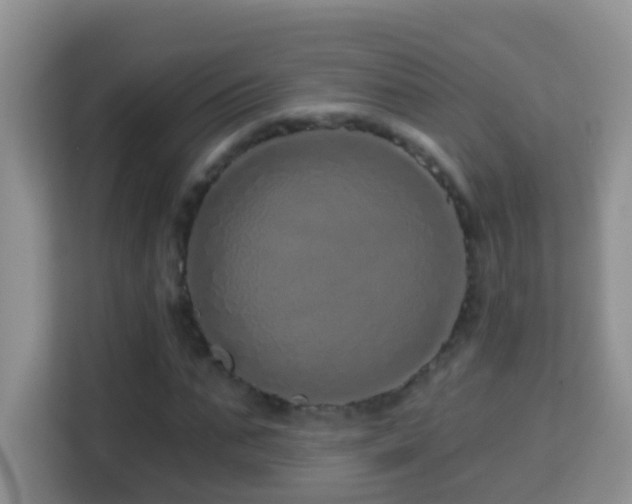 X0000114200871200910091250