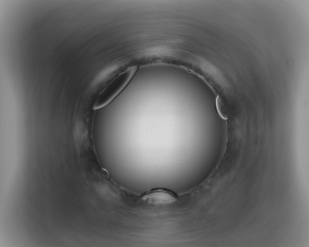 X0000114200872200910091250