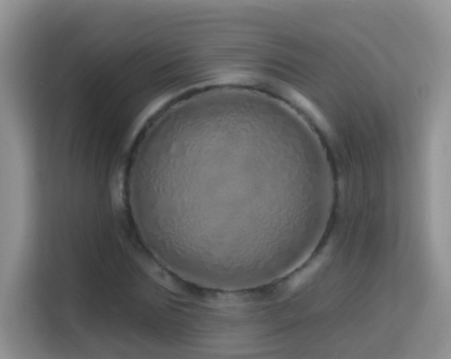 X0000114200875200910091250