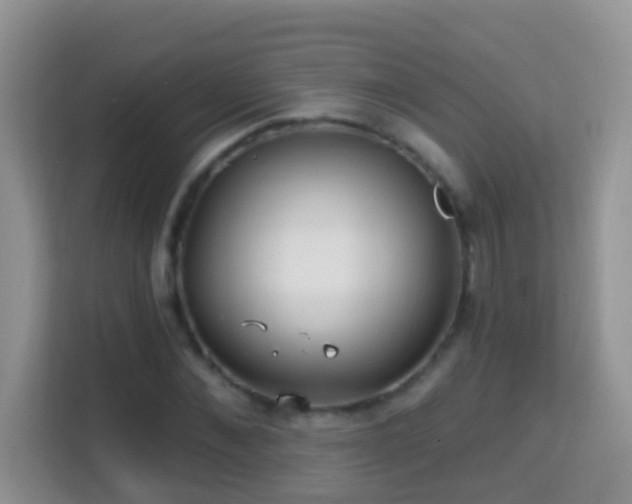 X0000114200876200910091250