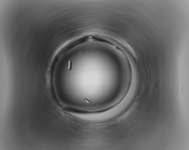 X0000114200877200910091250