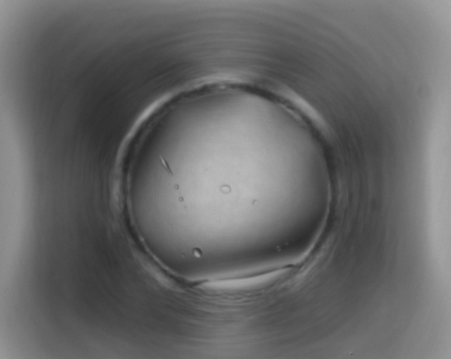 X0000114200878200910091250