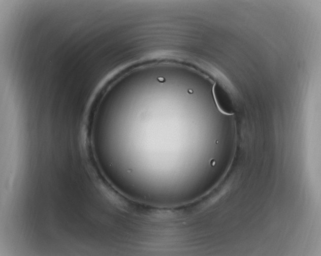 X0000114200880200910091250