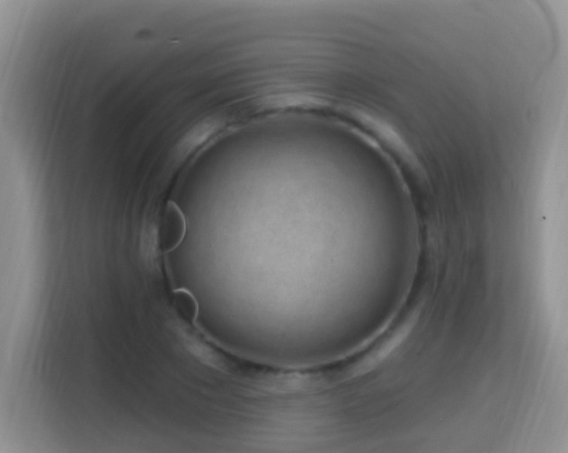 X0000114200881200910091250