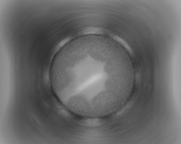 X0000114200882200910091250