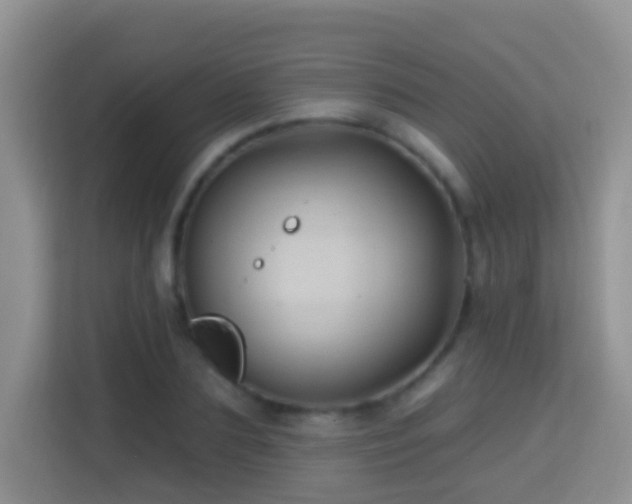 X0000114200883200910091250