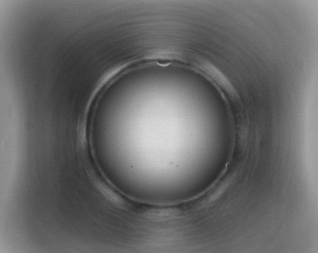 X0000114200884200910091250