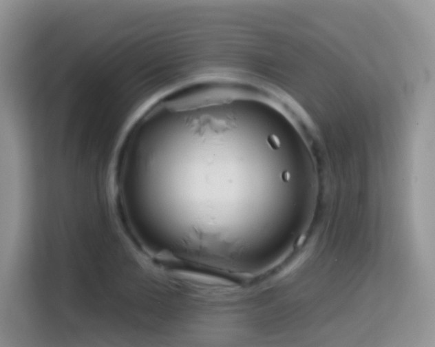X0000114200885200910091250