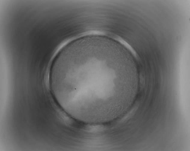 X0000114200886200910091250