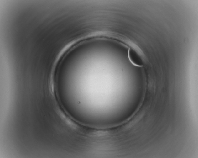 X0000114200888200910091250