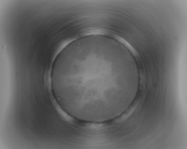 X0000114200890200910091250