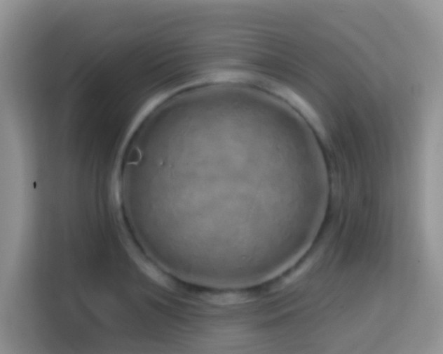 X0000114200891200910091250