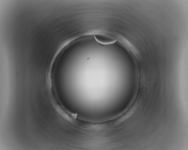 X0000114200892200910091250
