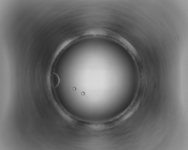X0000114200893200910091250