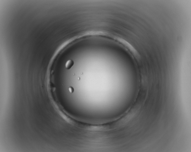 X0000114200894200910091250
