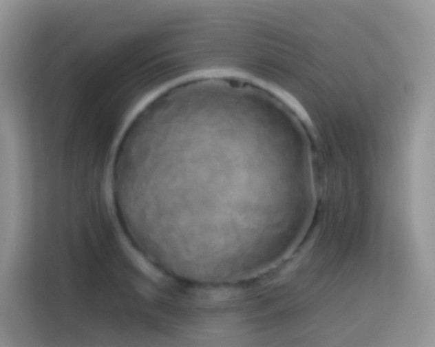 X0000114200895200910091250