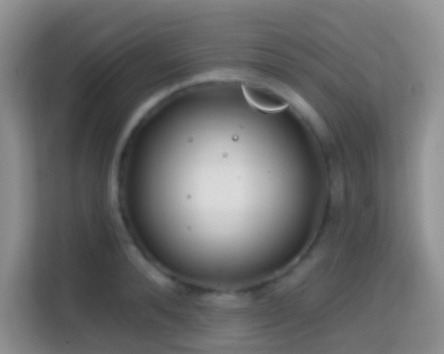 X0000114200896200910091250