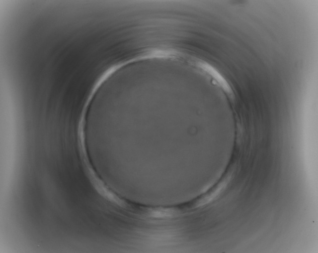 X0000114200899200910091250