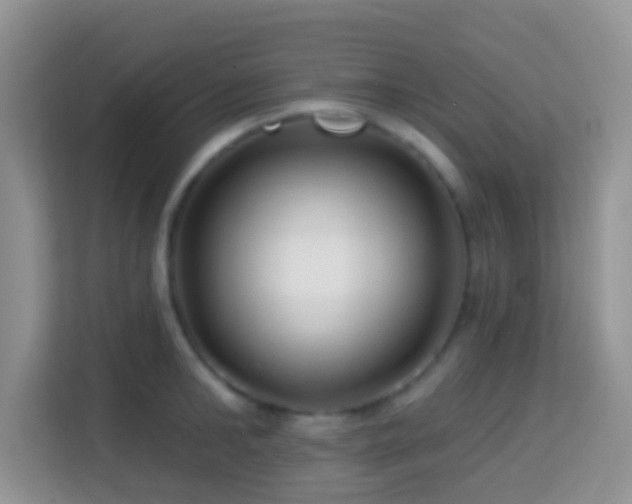 X0000114200902200910091250