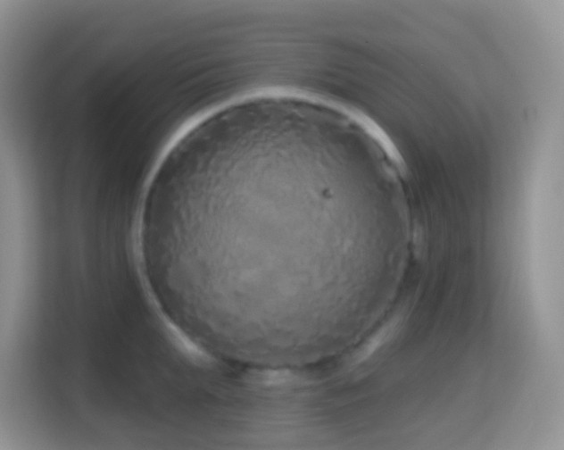X0000114200903200910091250