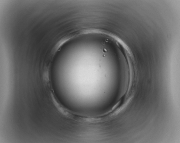 X0000114200905200910091250