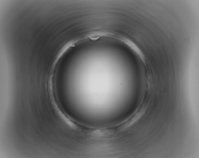 X0000114200906200910091250