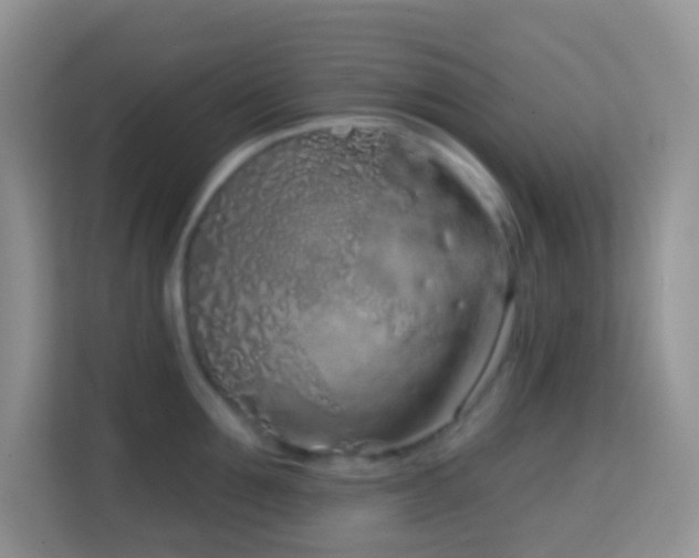 X0000114200907200910091250