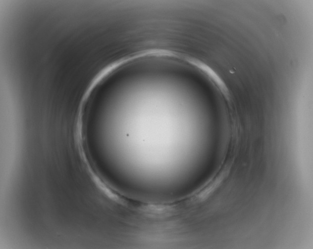 X0000114200910200910091250