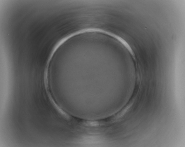 X0000114200911200910091250
