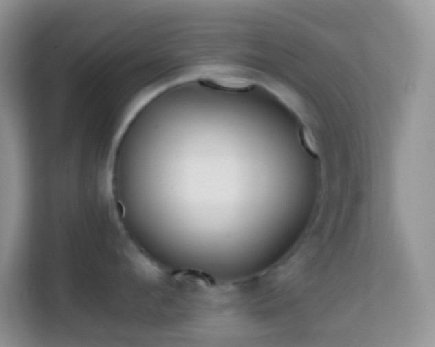 X0000114200912200910091250
