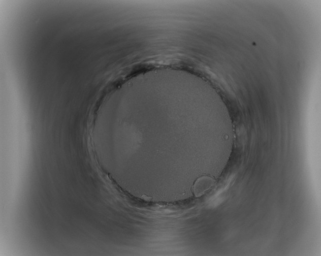 X0000114200913200910091249