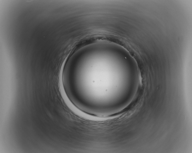 X0000114200916200910091249