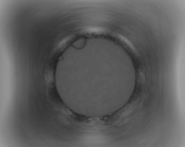 X0000114200918200910091249