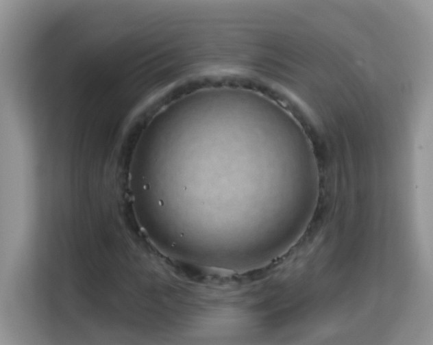 X0000114200919200910091249