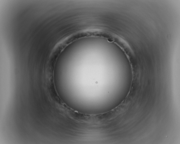 X0000114200920200910091249