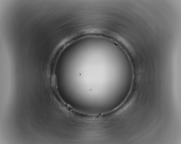 X0000114200922200910091249
