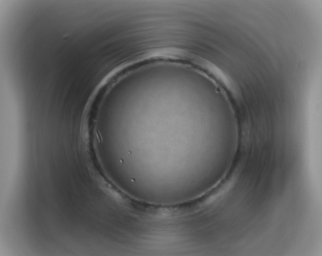X0000114200923200910091249
