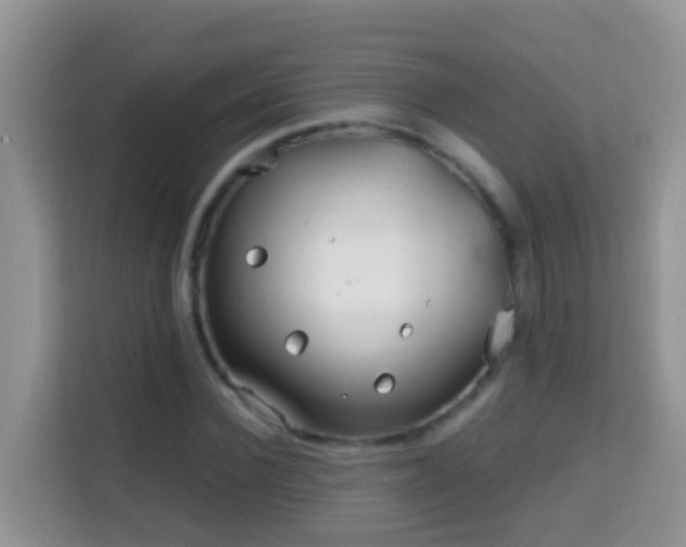 X0000114200924200910091249